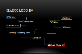 Organogram elweco-medo